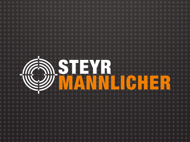 STEYR MANNLICHER 