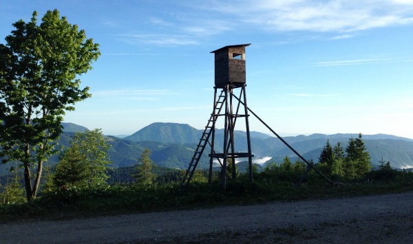 Hunting_High stand_HuntAustria