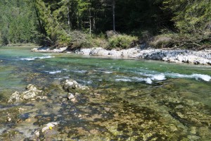 Flyfishing_Austria_Ybbs River_HuntAustria